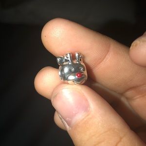 Pandora charm